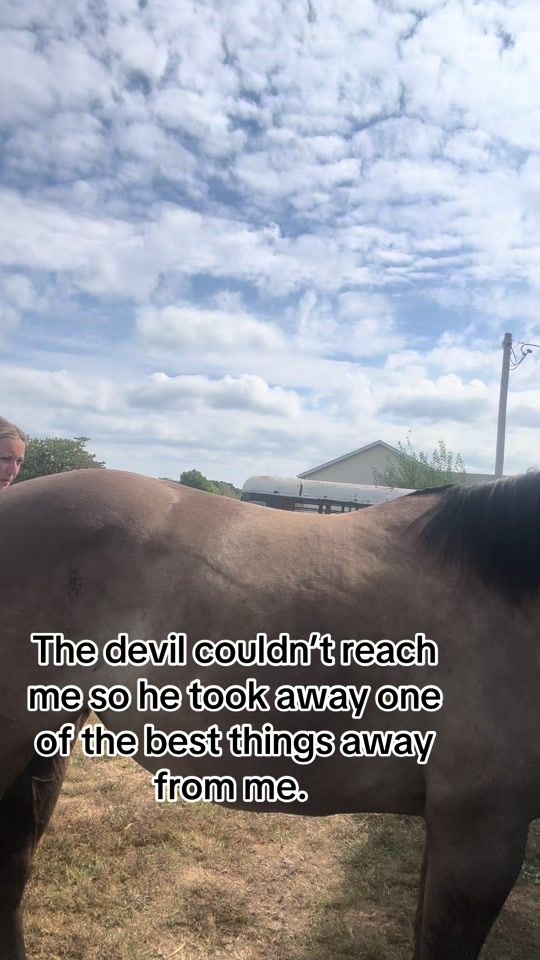 TikTok video thumbnail by barbie_barrel_racer1