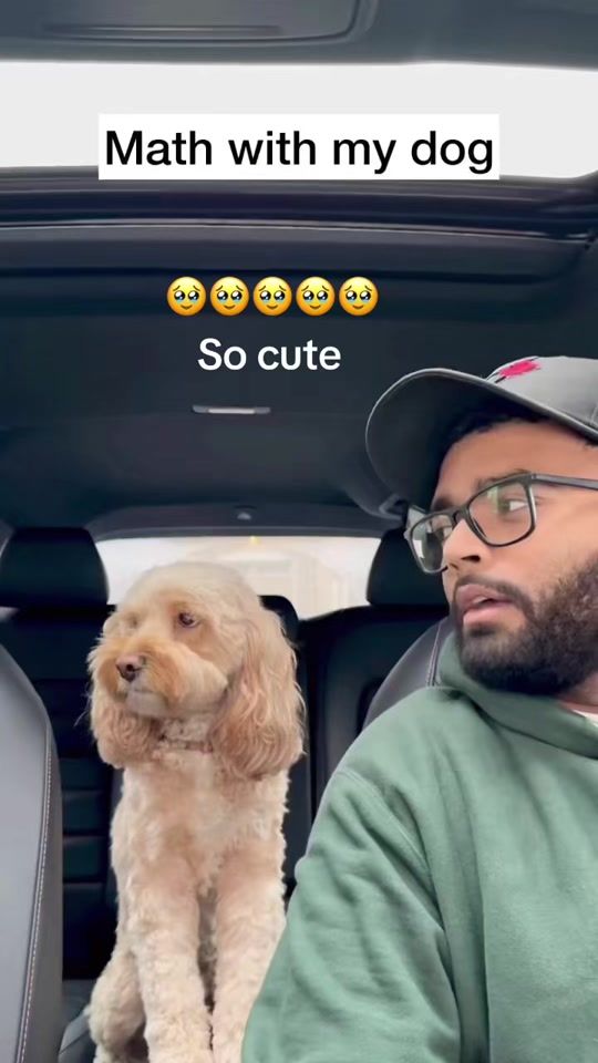TikTok video thumbnail by cakemasteredmond
