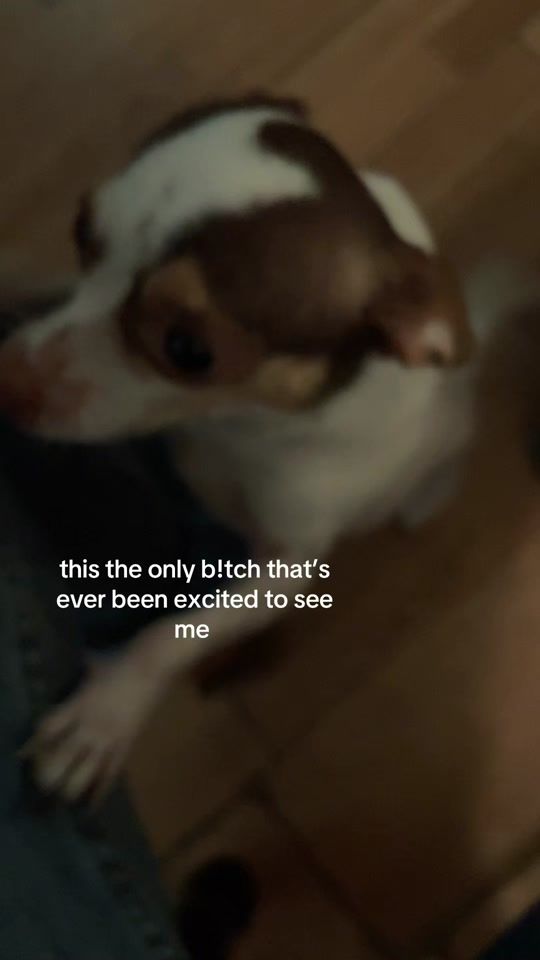 TikTok video thumbnail by shmedgarr