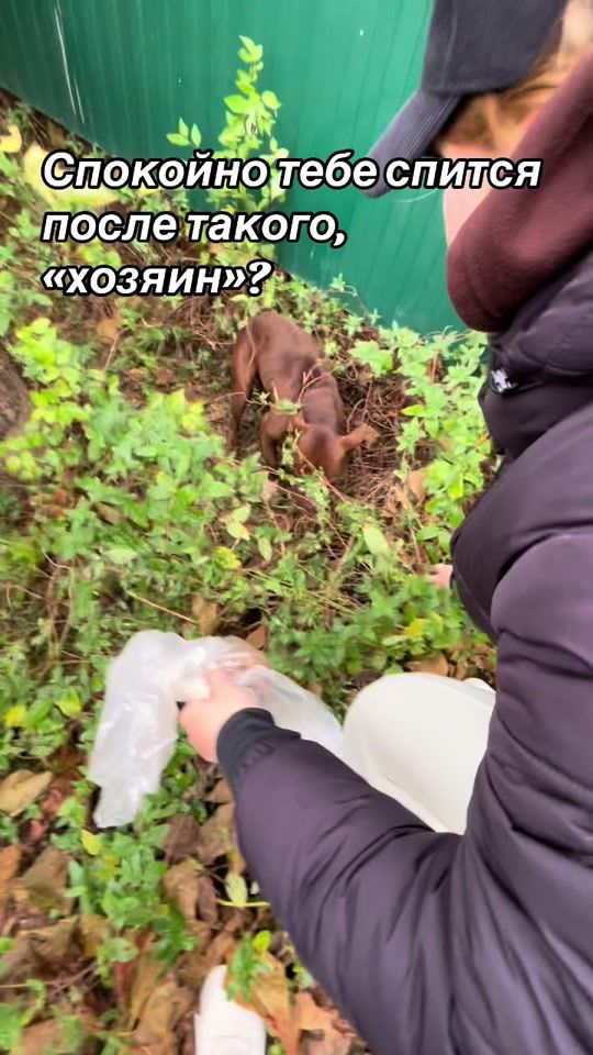 TikTok video thumbnail by barca_tai.s