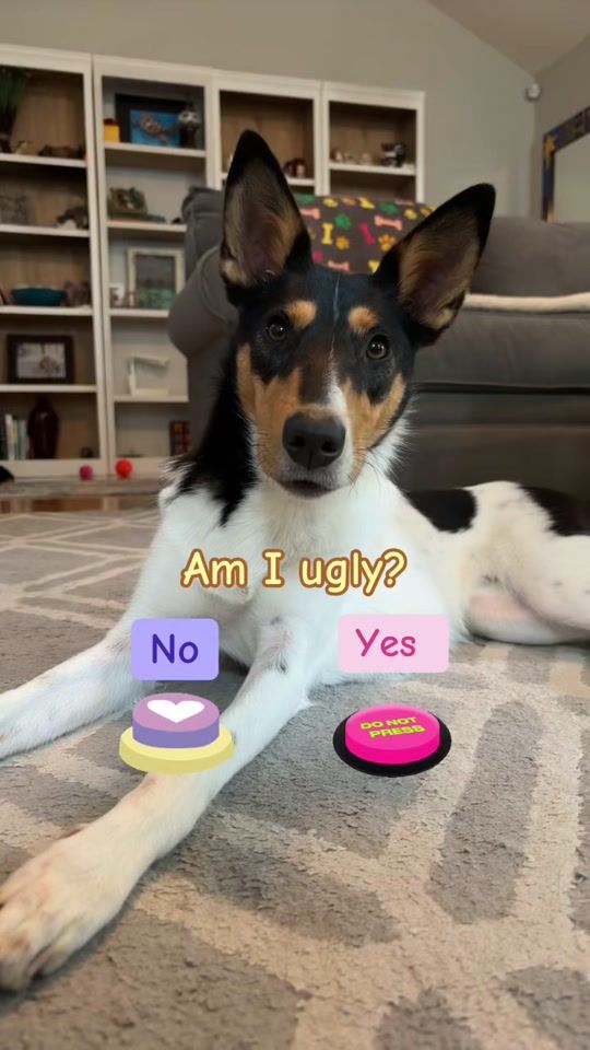 TikTok video thumbnail by finleyandjosie