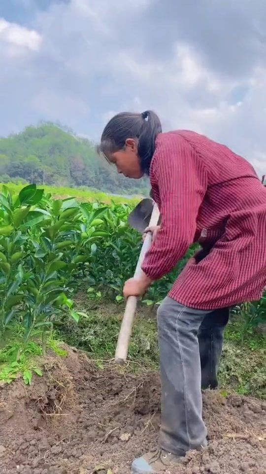 TikTok video thumbnail by top_01tm