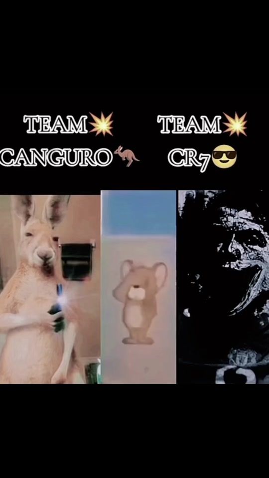 TikTok video thumbnail by chtalferna