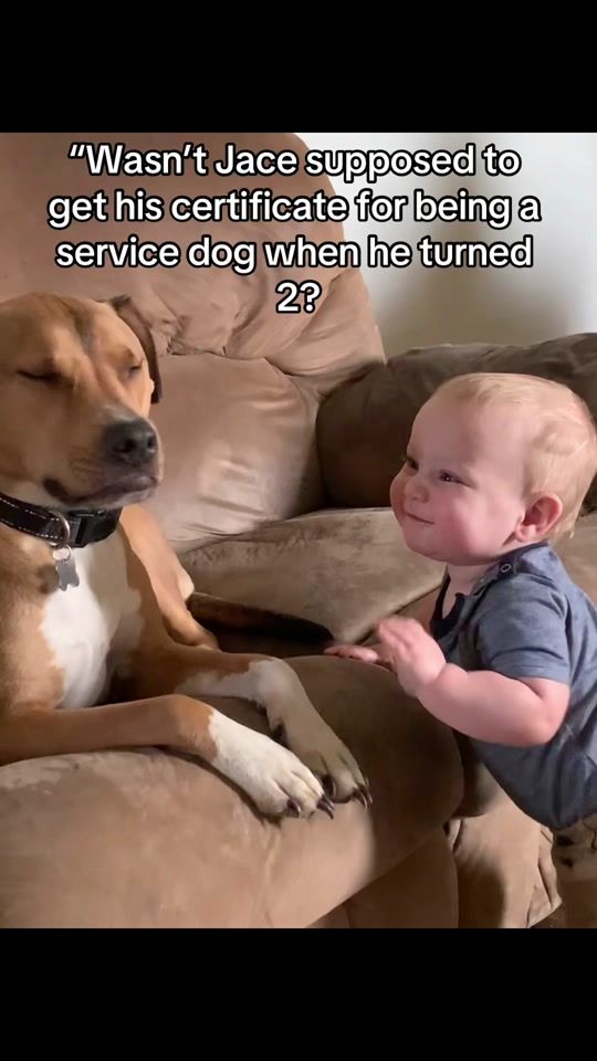 TikTok video thumbnail by lisa_chicky