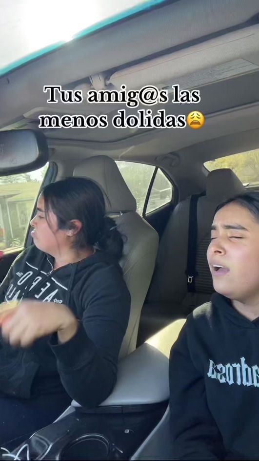 TikTok video thumbnail by lasgemelasreyess