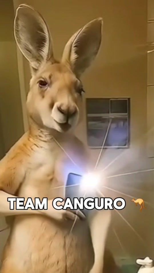 TikTok video thumbnail by the.barbers.nelson