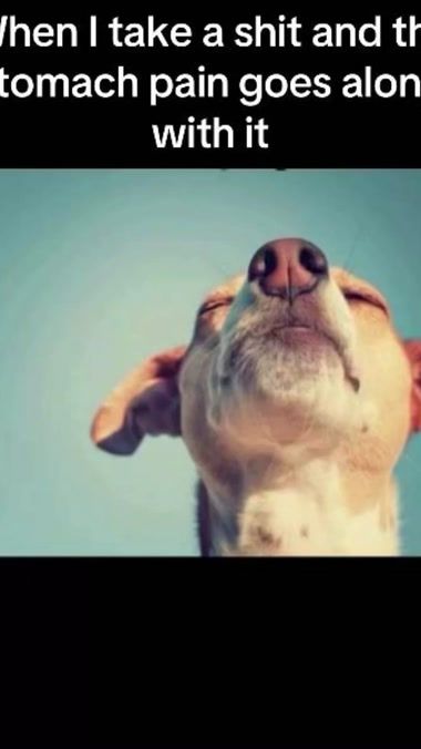 TikTok video thumbnail by alvaro.vsp