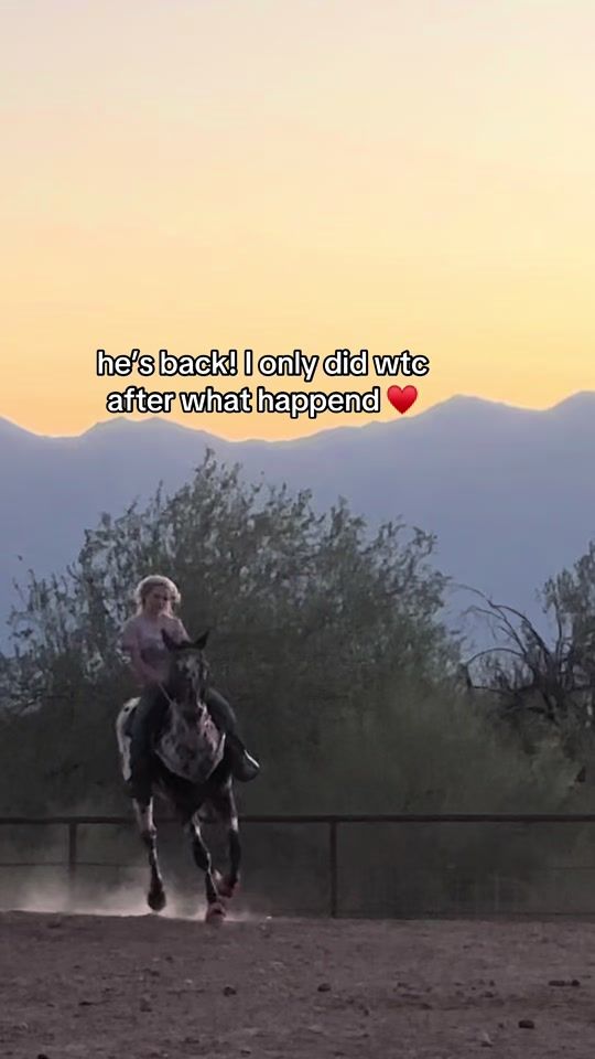 TikTok video thumbnail by axel_page..24