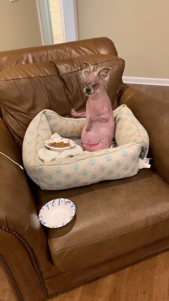TikTok video thumbnail by tiffanyb1413