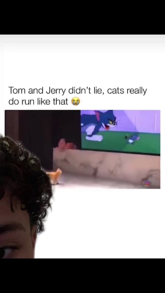 TikTok video thumbnail by cradle_app