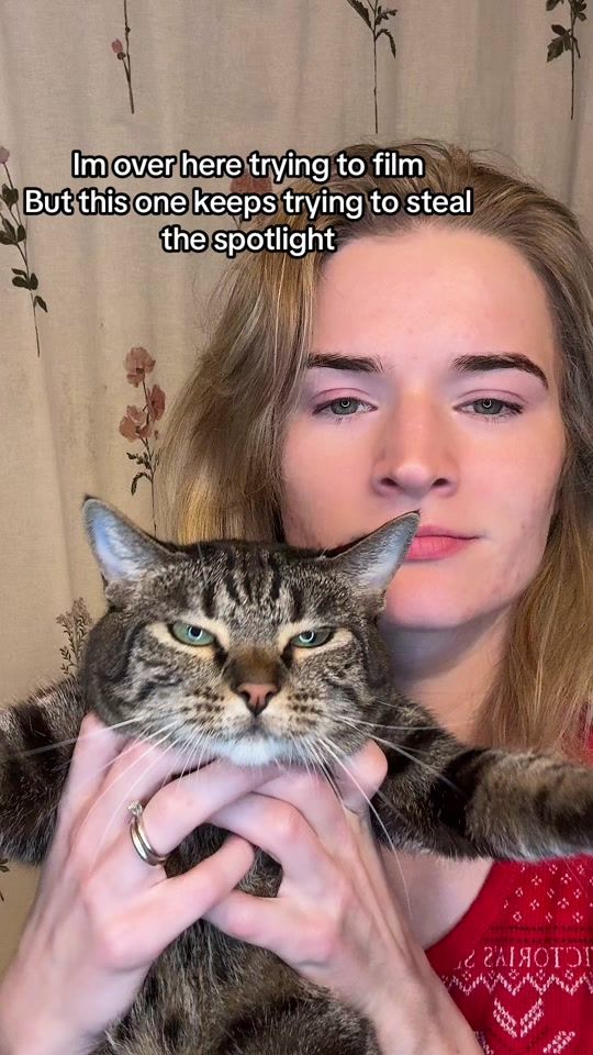 TikTok video thumbnail by svalabb