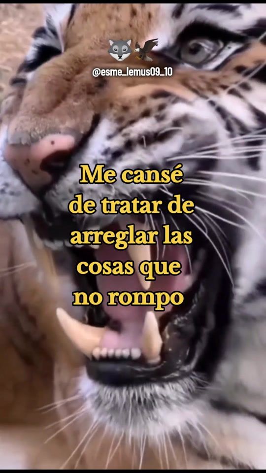 TikTok video thumbnail by esme_lemus09_10