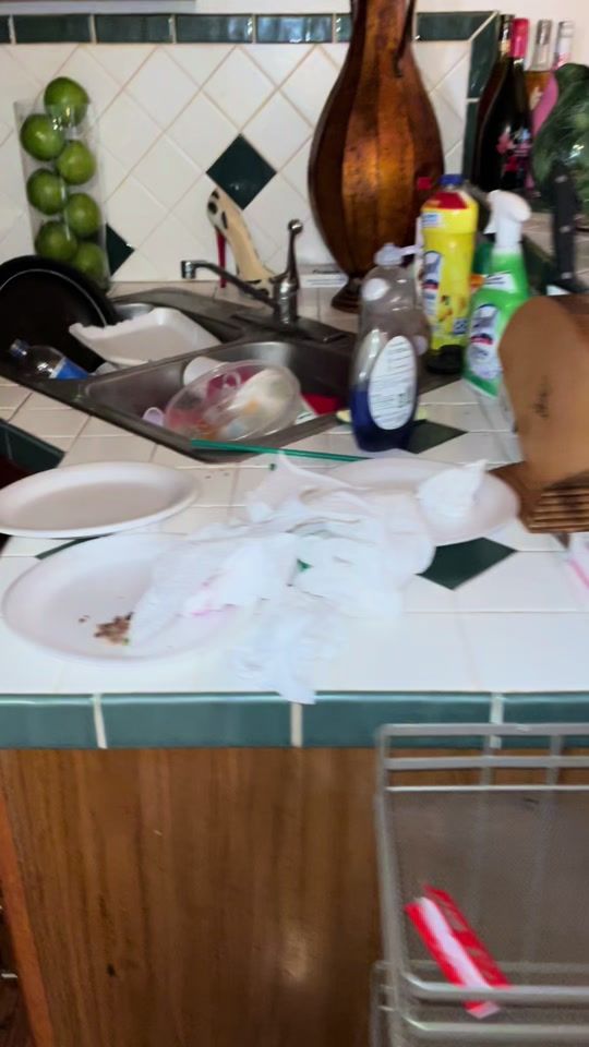 TikTok video thumbnail by cleaningwithtp