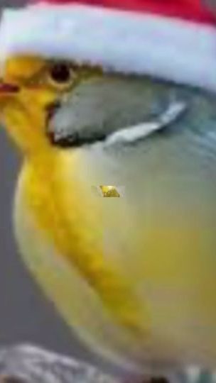 TikTok video thumbnail by green_castle_crasher2
