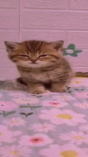 TikTok video thumbnail by alyotdj