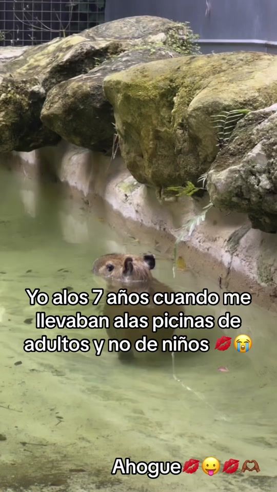 TikTok video thumbnail by josefabaddie_
