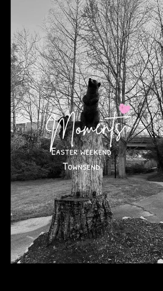 TikTok video thumbnail by julesshc