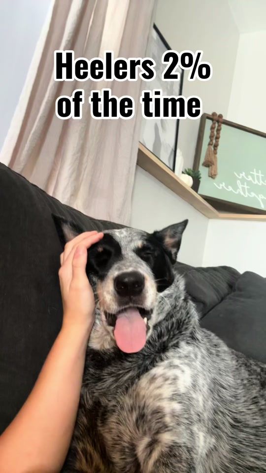 TikTok video thumbnail by bishopmaddie