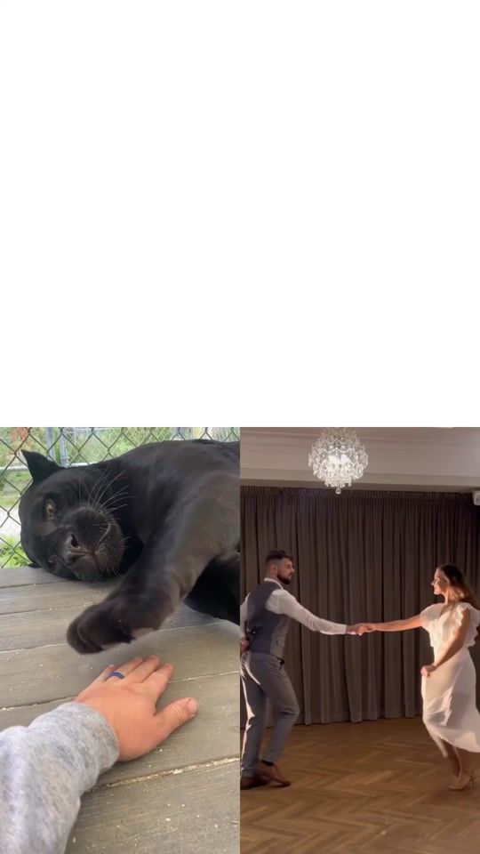 TikTok video thumbnail by dua_khanofficial1