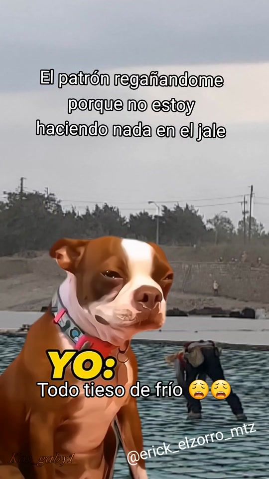TikTok video thumbnail by erick_elzorro_mtz