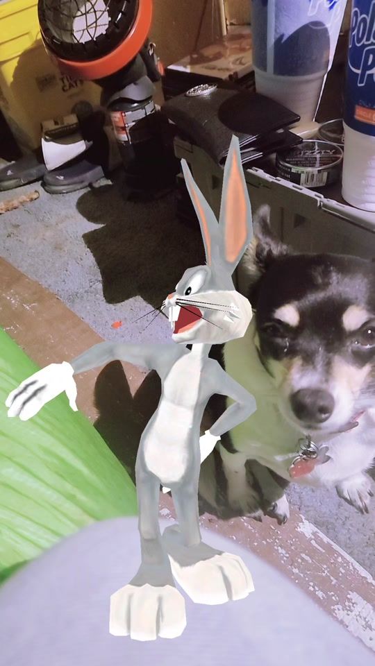 TikTok video thumbnail by curtpullum70