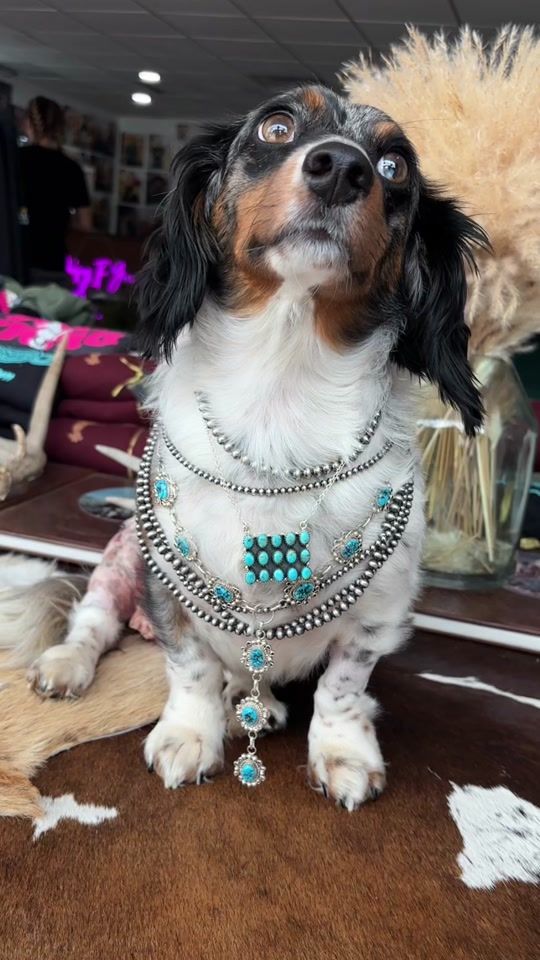 TikTok video thumbnail by daisyifyoudoco