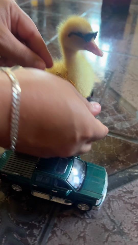 TikTok video thumbnail by its.marisol0