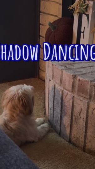 TikTok video thumbnail by heyheycoco1