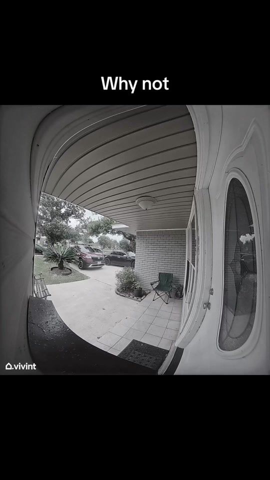 TikTok video thumbnail by daddy12116