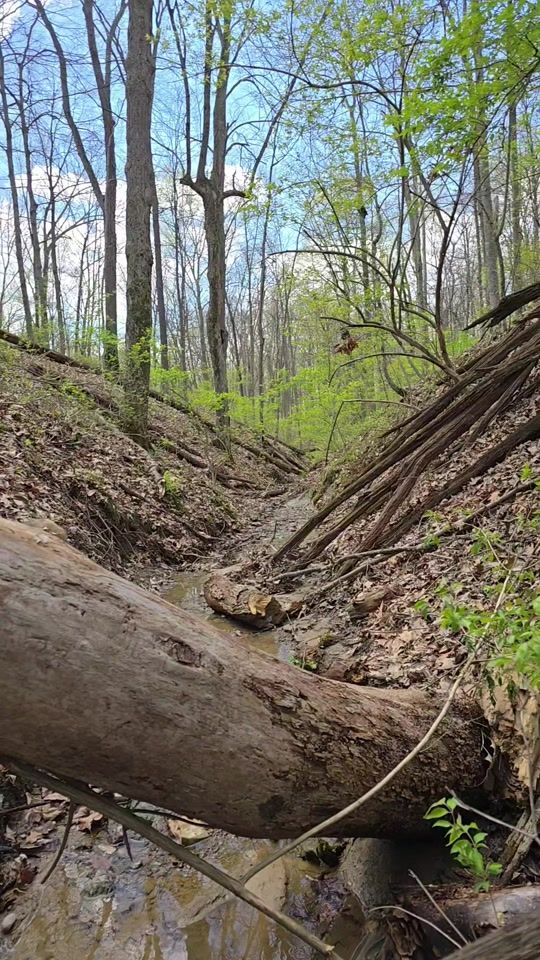 TikTok video thumbnail by 1tennvolfan