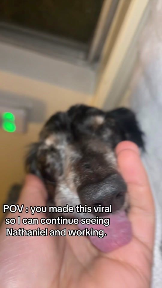 TikTok video thumbnail by nathanielandricardo
