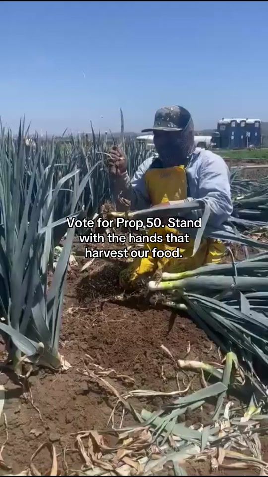 TikTok video thumbnail by unitedfarmworkers