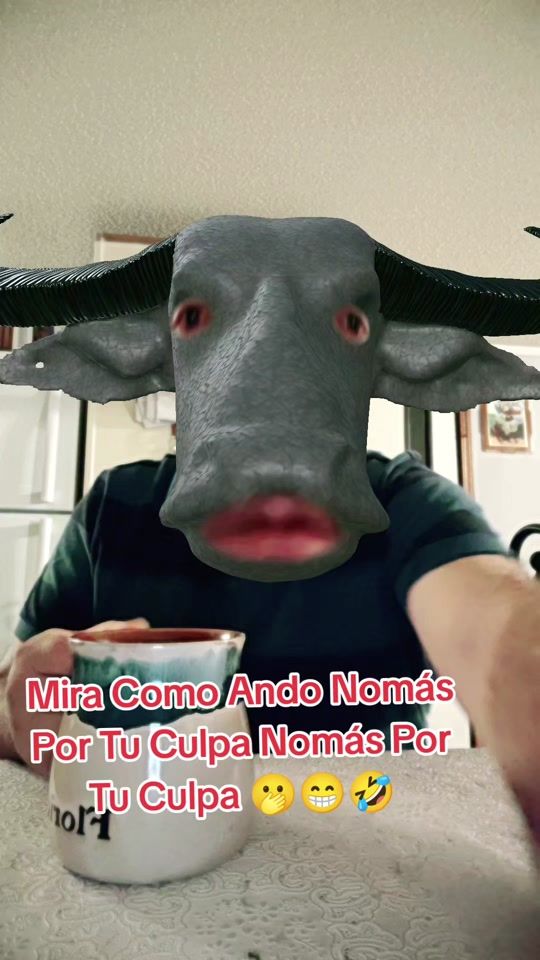 TikTok video thumbnail by elbroncodelasierramix