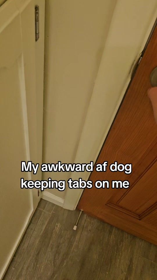 TikTok video thumbnail by ambiies95