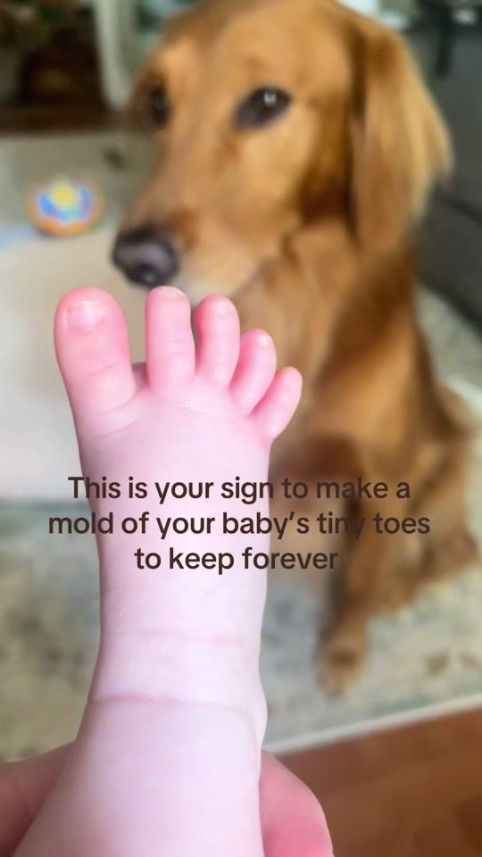 TikTok video thumbnail by willieandjune
