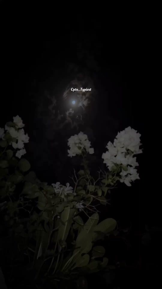 TikTok video thumbnail by cptn_typiest.3