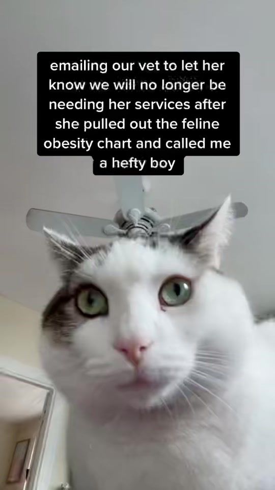 TikTok video thumbnail by vchatterley