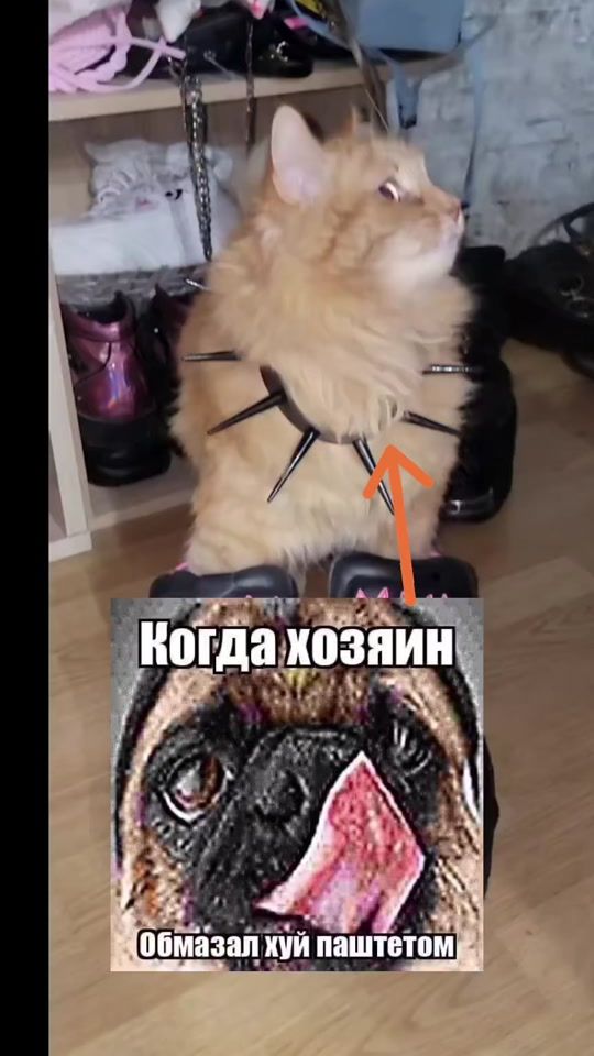 TikTok video thumbnail by pyan00_