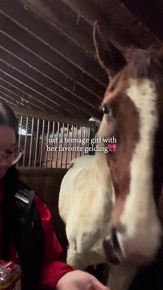 TikTok video thumbnail by they_love_kendall99