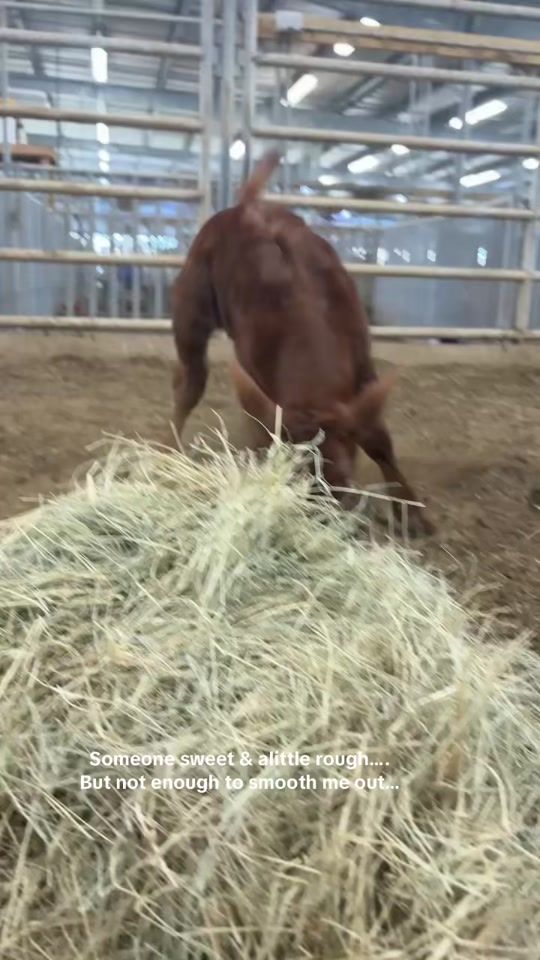 TikTok video thumbnail by h_bar_redhead