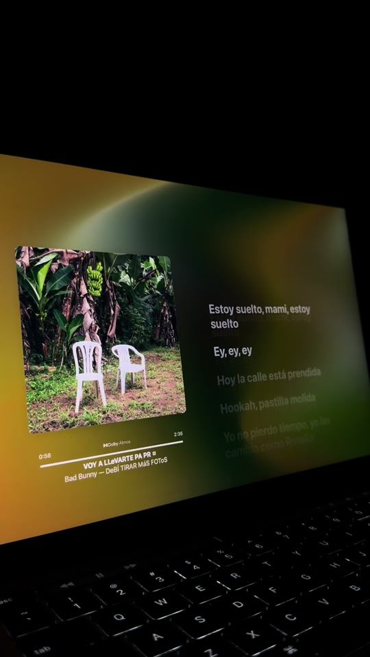 TikTok video thumbnail by lyricalreggaeton0