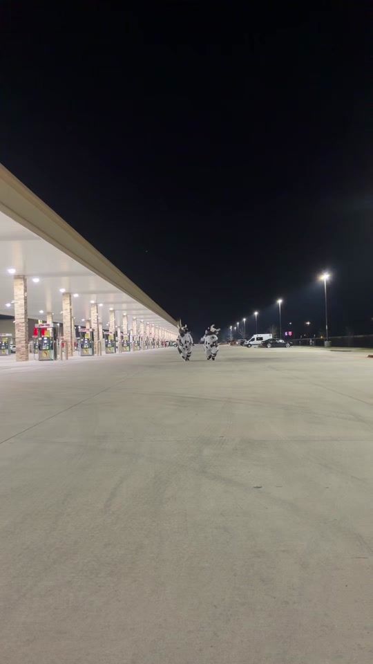 TikTok video thumbnail by movingmoto
