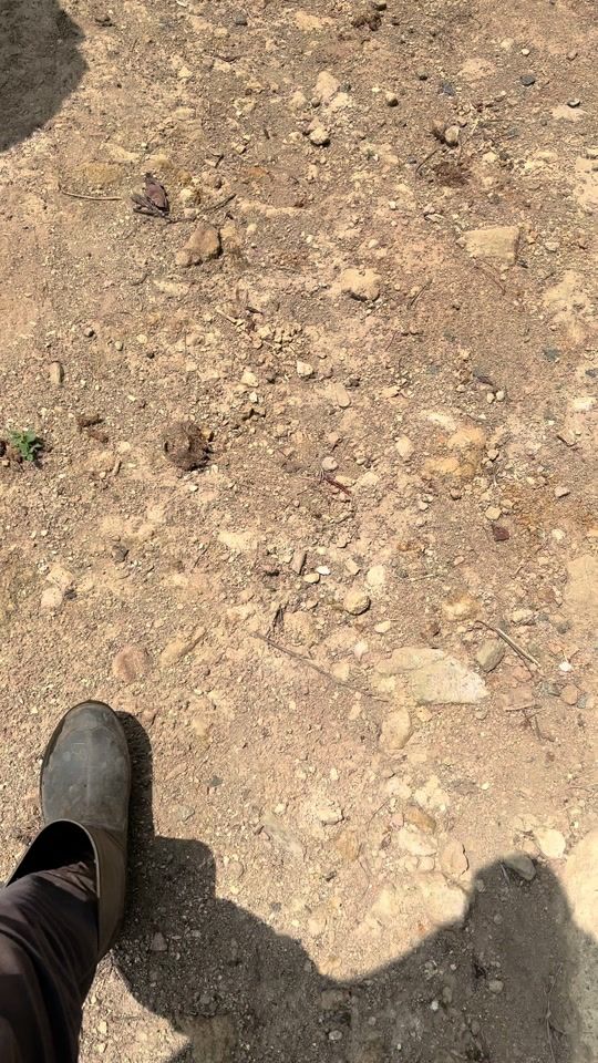 TikTok video thumbnail by elder.biker