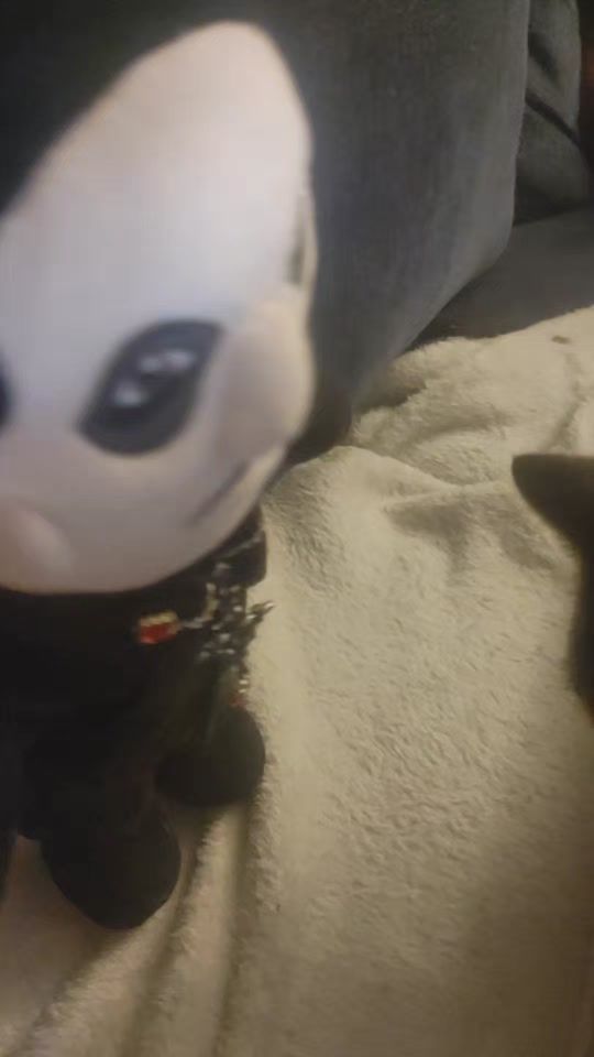TikTok video thumbnail by flat.frater.adven