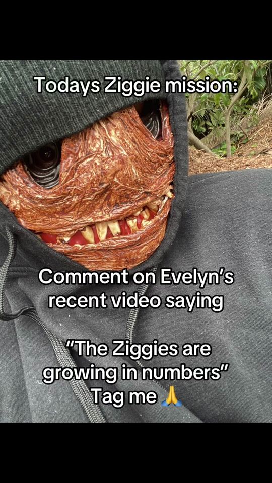 TikTok video thumbnail by zaggerrizzy