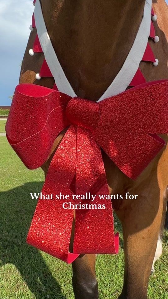 TikTok video thumbnail by gabriela.reutter