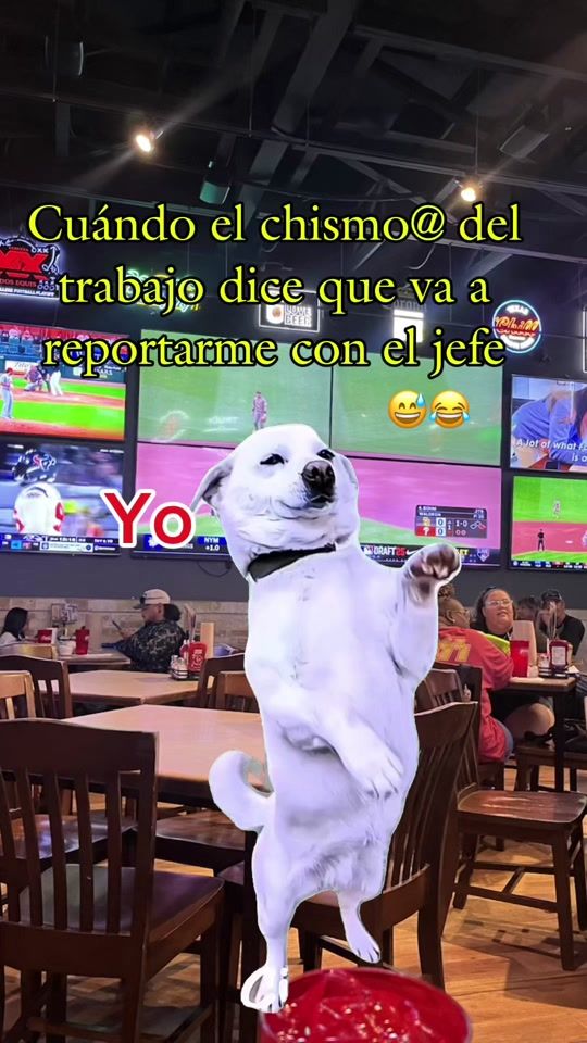 TikTok video thumbnail by minervagorostieta4