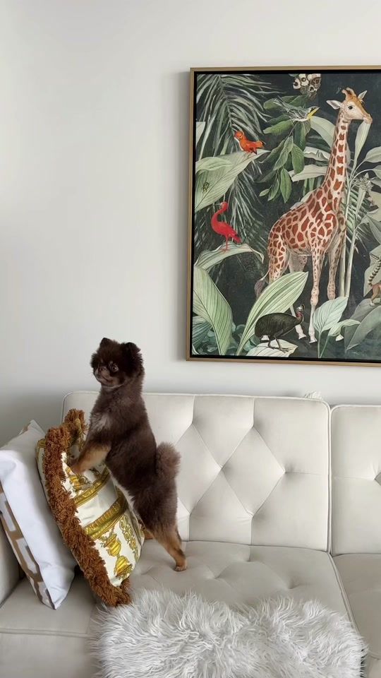 TikTok video thumbnail by eliyacioccolato1