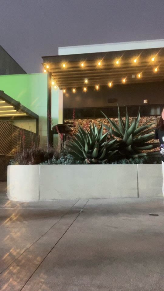 TikTok video thumbnail by sirdoggo22