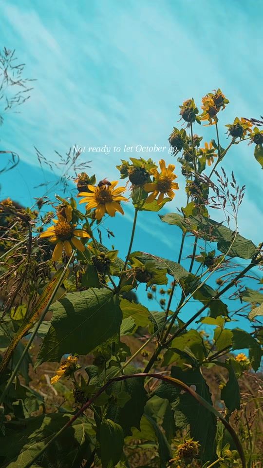 TikTok video thumbnail by khaleesi_kiara